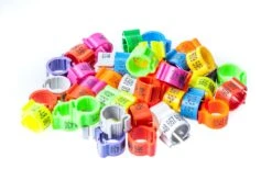 Kennringe Mit Telefonnummer Ø 8mm 100 Stück