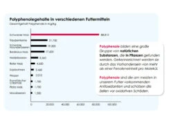 Versele Junior Plus I.C.⁺ 20kg -Taubenbedarf Geschäft antioxidantien 17