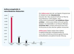 Versele Master Black 20kg -Taubenbedarf Geschäft antioxidantien 24