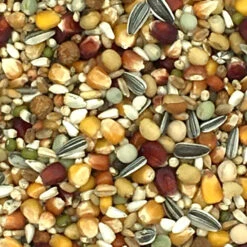 Beyers Galaxy Long Distance TT 20kg