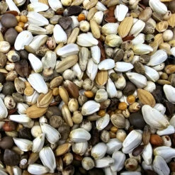 Gladen Super Diät 20kg