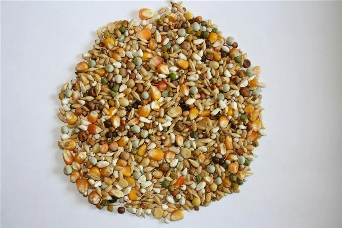 Versele Junior Plus I.C.⁺ 20kg