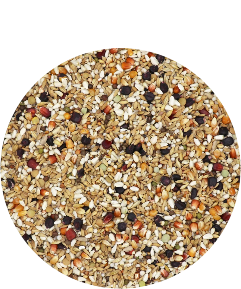 Versele Master Diät Relax 20kg