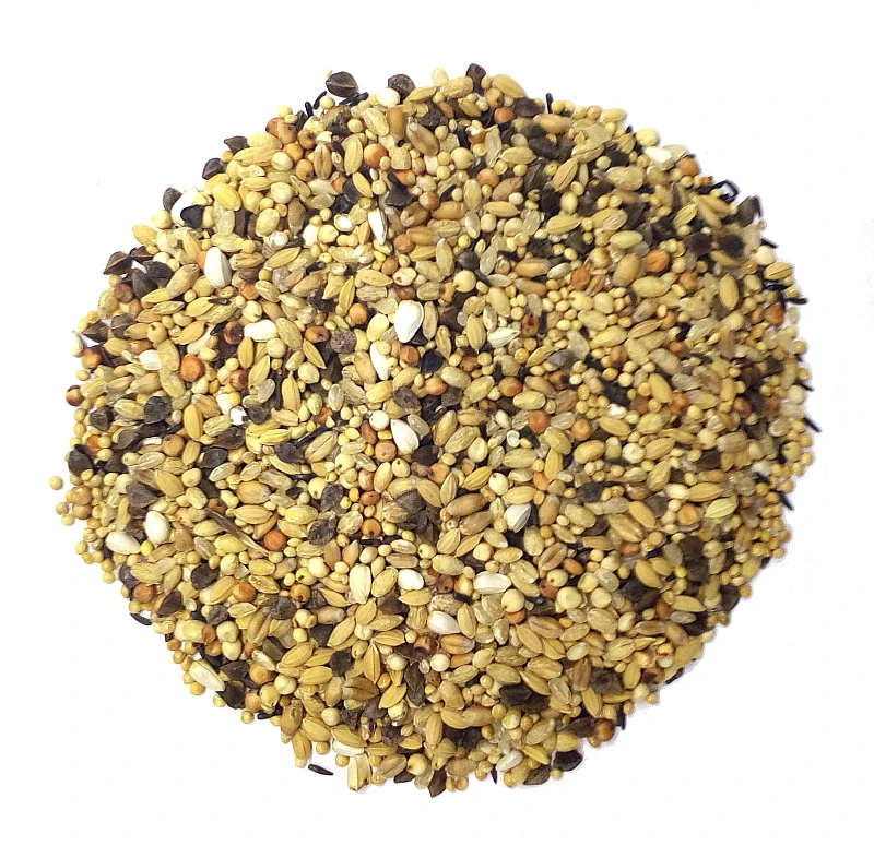 Spinne SoMoDiMi - Power Sprint 25kg 3 Spinne SoMoDiMi - Power Sprint 25kg